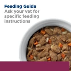 Hill's Prescription Diet I/d Digestive Care Chicken & Vegetable Stew Canned Dog Food 156g X 24 20 Hill's Prescription Diet I/d Digestive Care Chicken & Vegetable Stew Canned Dog Food 156g X 24 -Pet Supplies Shop 6 hills prescription diet i d digestive care chicken vegetable stew canned dog food 156g x 24 55809be8 8e59 48b4 bc97 bcbe3725fb2a