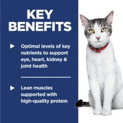 Hill's Science Diet Adult 11+ Senior Dry Cat Food 21 Hill's Science Diet Adult 11+ Senior Dry Cat Food -Pet Supplies Shop 6 hills science diet adult 11 senior dry cat food