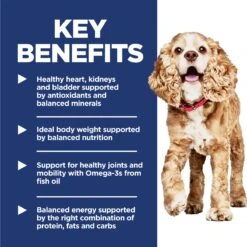 Hill's Science Diet Adult 11+ Senior Small And Mini Senior Dry Dog Food 2.04kg -Pet Supplies Shop 6 hills science diet adult 11 senior small paws senior dry dog food 2 04kg