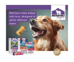 Indomitable Patagonia Creamy Cremes Raspberry Grain Free Dog Treats 120g -Pet Supplies Shop 6 indomitable creamy cremes raspberry grain free dog treats 120g