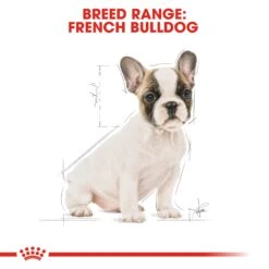 Royal Canin Dog French Bulldog Puppy Dry Food 3kg -Pet Supplies Shop 6 royal canin dog french bulldog puppy dry food 3kg 41182975 2794 46d7 b4c6 b196d4e6d0df