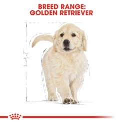 Royal Canin Golden Retriever Puppy Dry Dog Food 12kg -Pet Supplies Shop 6 royal canin golden retriever puppy dry dog food 12kg fcc5511f ed11 4dcd a311 30ccc086004e