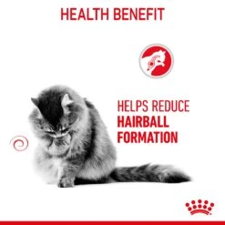 Royal Canin Hairball Care With Gravy Adult Wet Cat Food Pouches 85g X 12 17 Royal Canin Hairball Care With Gravy Adult Wet Cat Food Pouches 85g X 12 -Pet Supplies Shop 6 royal canin hairball care with gravy adult wet cat food pouches 85g x 12