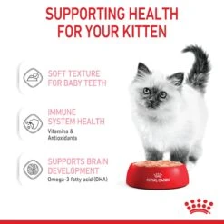 Royal Canin Kitten Instinctive With Loaf Wet Cat Food Pouches 85g X 12 -Pet Supplies Shop 6 royal canin kitten instinctive with loaf wet cat food pouches 85g x 12 9234fd10 8322 46f0 bc95 a439138feb9c