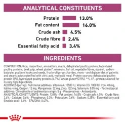 Royal Canin Veterinary Diet Renal Special Adult Dry Dog Food 2kg -Pet Supplies Shop 6 royal canin veterinary diet renal special adult dry dog food 2kg e2dfd53e 5795 493c 8fef b436238c456a