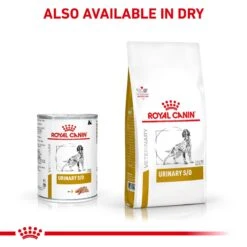 Royal Canin Veterinary Diet Urinary Adult Wet Dog Food 410g X 12 16 Royal Canin Veterinary Diet Urinary Adult Wet Dog Food 410g X 12 -Pet Supplies Shop 6 royal canin veterinary diet urinary adult wet dog food 410g x 12