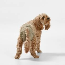 Snooza Washable Nappy Pant For Female Dogs 2 Pack -Pet Supplies Shop 6 snooza washable nappy pant for female dogs 2 pack