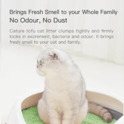 Cature Natural Tofu Clumping Green Tea Cat Litter 2.4kg X 6 -Pet Supplies Shop 7 cature natural tofu clumping green tea cat litter x 6