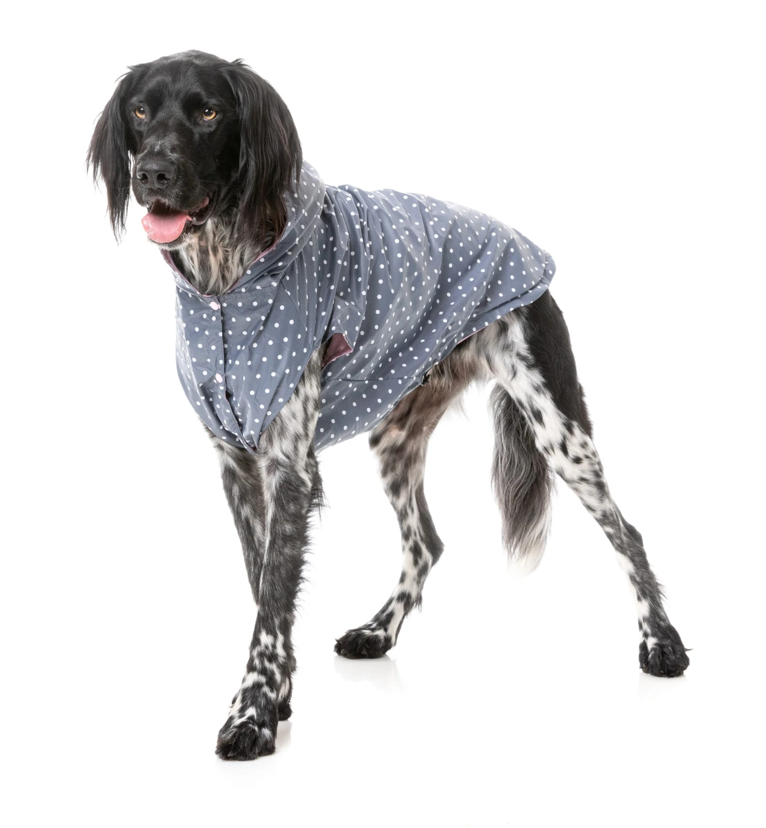 FuzzYard Flipside Dog Raincoat Pink 10 FuzzYard Flipside Dog Raincoat Pink - Image 8