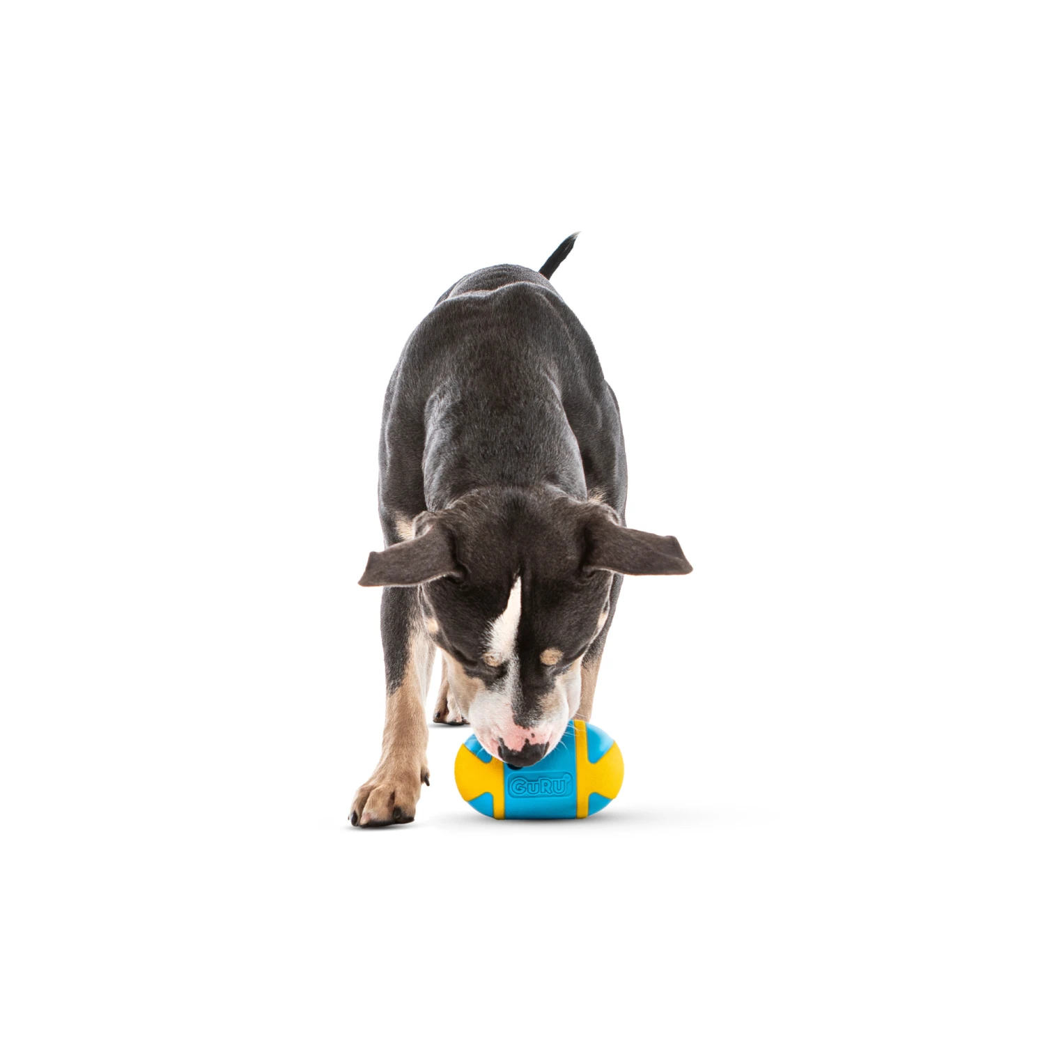 GURU Rock N Treat Dog Toy Medium 10 GURU Rock N Treat Dog Toy Medium - Image 8