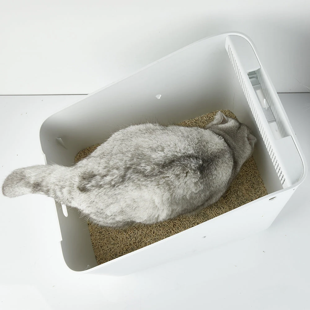 PETKIT Occult Blood Test Tofu Mixed Cat Litter 2.4kg 10 PETKIT Occult Blood Test Tofu Mixed Cat Litter 2.4kg - Image 8