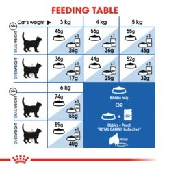 Royal Canin Indoor Adult Dry Cat Food -Pet Supplies Shop 7 royal canin indoor adult dry cat food