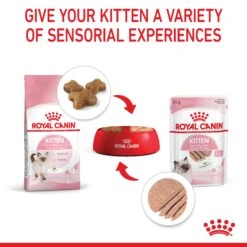 Royal Canin Kitten Instinctive With Loaf Wet Cat Food Pouches 85g X 12 -Pet Supplies Shop 7 royal canin kitten instinctive with loaf wet cat food pouches 85g x 12