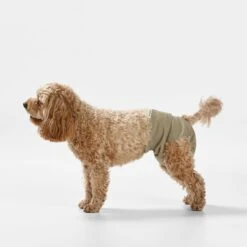 Snooza Washable Nappy Pant For Female Dogs 2 Pack -Pet Supplies Shop 7 snooza washable nappy pant for female dogs 2 pack