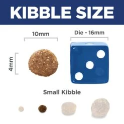 Hill's Science Diet Puppy Dry Dog Food -Pet Supplies Shop 8 hills science diet puppy dry dog food