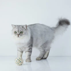 PETKIT Occult Blood Test Tofu Mixed Cat Litter 2.4kg 19 PETKIT Occult Blood Test Tofu Mixed Cat Litter 2.4kg -Pet Supplies Shop 8 petkit occult blood test tofu mixed cat litter 2 4kg