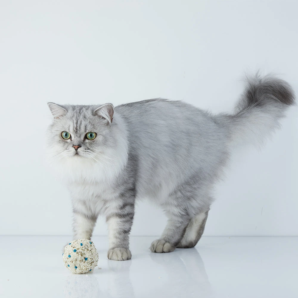 PETKIT Occult Blood Test Tofu Mixed Cat Litter 2.4kg 11 PETKIT Occult Blood Test Tofu Mixed Cat Litter 2.4kg - Image 9