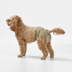 Snooza Washable Nappy Pant For Female Dogs 2 Pack -Pet Supplies Shop 8 snooza washable nappy pant for female dogs 2 pack