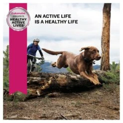 Eukanuba Senior Large Breed Dry Dog Food 14kg -Pet Supplies Shop 9 eukanuba senior large breed dry dog food 14kg d5fdc03c 9e52 4dd1 af8b 53080c9923af