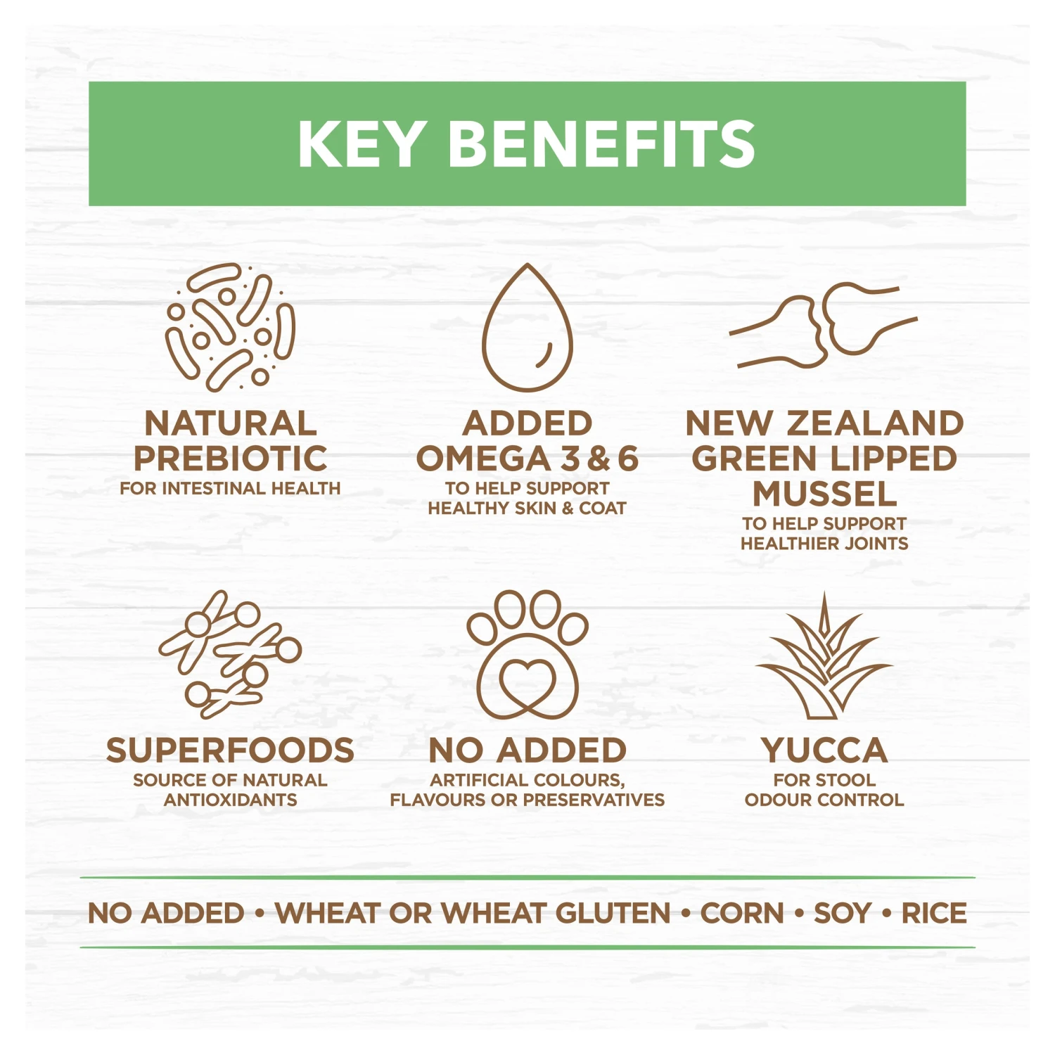 Ivory Coat Puppy Grain Free Large Breed Lamb Dry Dog Food 17 Ivory Coat Puppy Grain Free Large Breed Lamb Dry Dog Food - Image 15