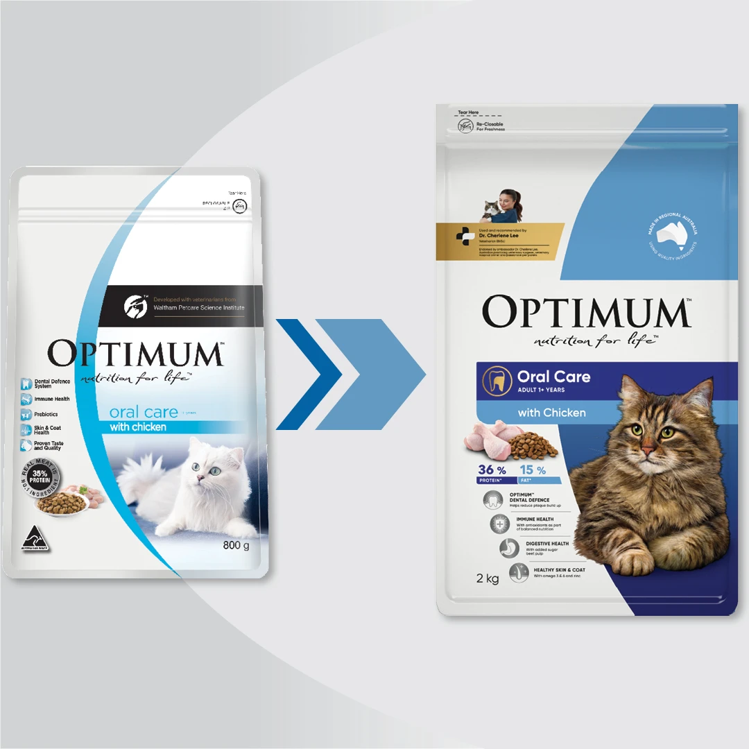 Optimum Cat Adult Dry Food Chicken Oral Care 2kg 4 Optimum Cat Adult Dry Food Chicken Oral Care 2kg - Image 2