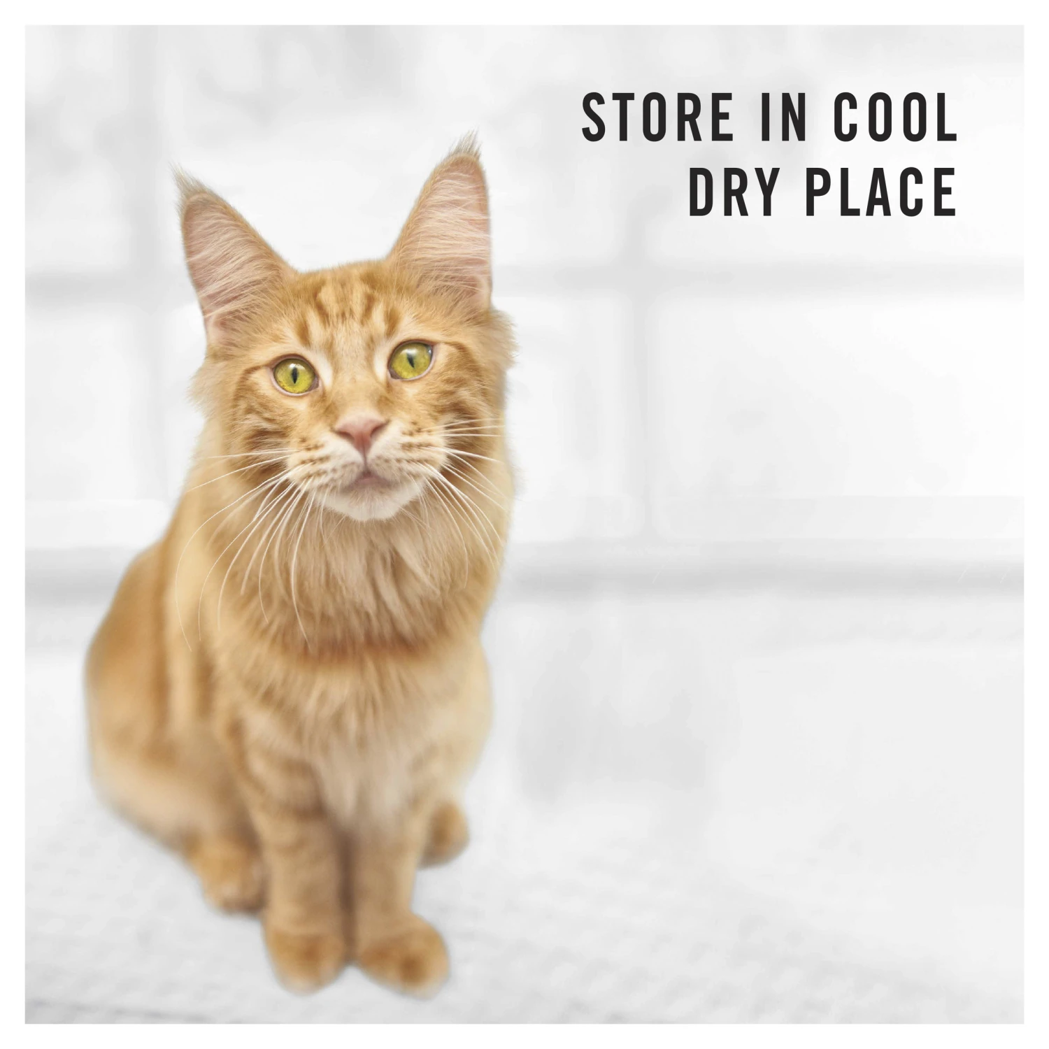 Pro Plan Adult 7+ Dry Cat Food 3kg 12 Pro Plan Adult 7+ Dry Cat Food 3kg - Image 10