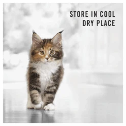 Pro Plan Chicken Kitten Dry Cat Food 3.5kg 22 Pro Plan Chicken Kitten Dry Cat Food 3.5kg -Pet Supplies Shop 9 pro plan chicken kitten dry cat food 3 5kg