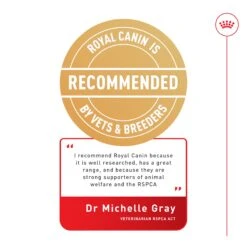 Royal Canin Indoor Adult Dry Cat Food -Pet Supplies Shop 9 royal canin indoor adult dry cat food