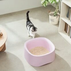 Michu Macaron Open High Edge Extra Large Cat Litter Box Taro 17 Michu Macaron Open High Edge Extra Large Cat Litter Box Taro -Pet Supplies Shop 9 7bef2416 d7b0 4dd8 bd80 8b4b55a1d900
