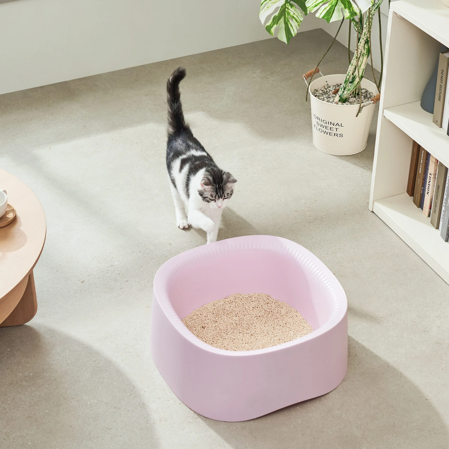 Michu Macaron Open High Edge Extra Large Cat Litter Box Taro 8 Michu Macaron Open High Edge Extra Large Cat Litter Box Taro - Image 6
