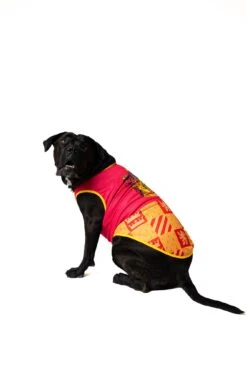 Harry Potter Gryffindor House Dog Shirt -Pet Supplies Shop DSC02995