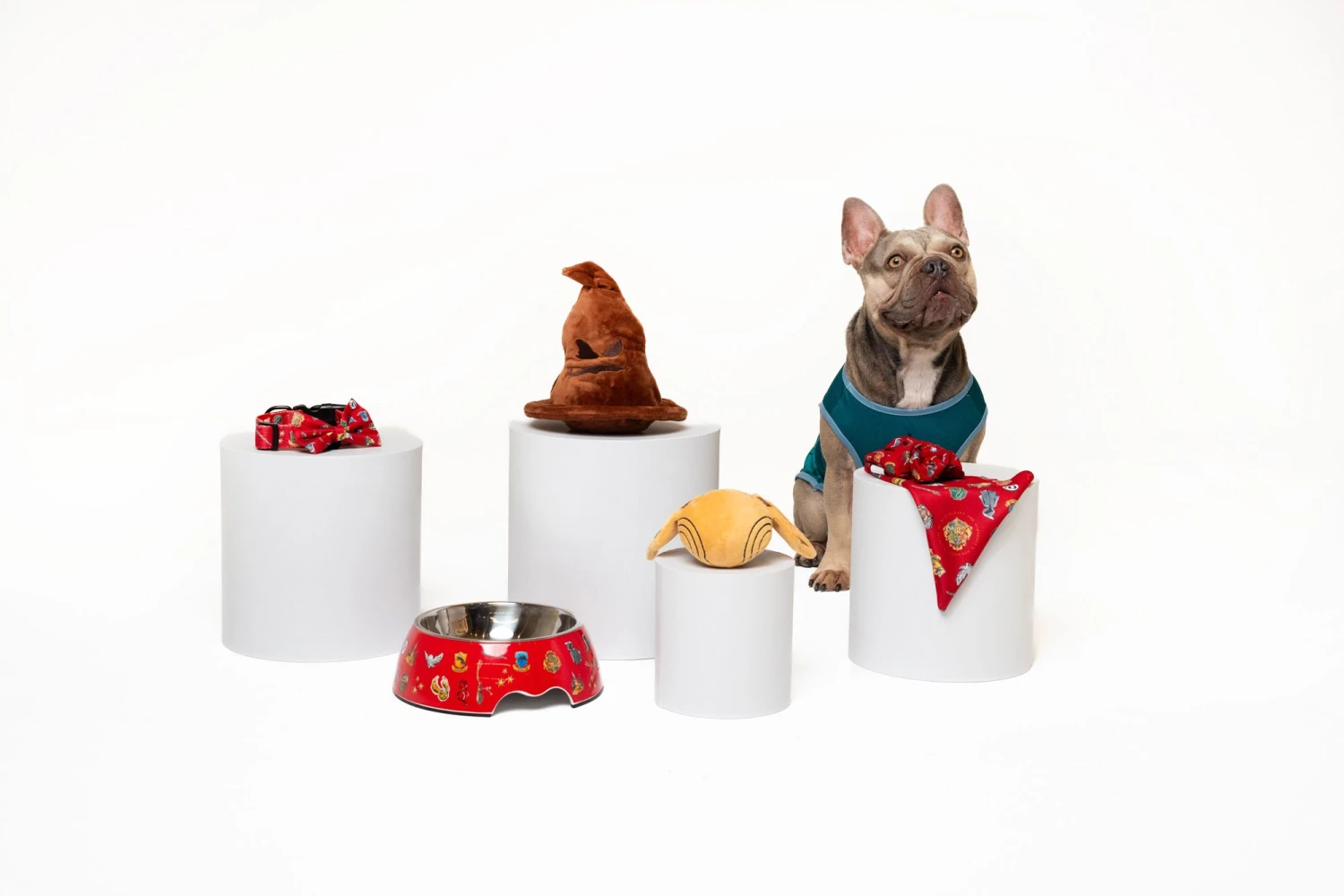 Harry Potter Slytherin House Dog Shirt 7 Harry Potter Slytherin House Dog Shirt - Image 5