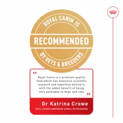 Royal Canin Persian Adult Dry Cat Food 2kg -Pet Supplies Shop FBN BHN DrKatrinaCrowe PDS c1195b46 6398 47aa b83a f9ffcf1b50da