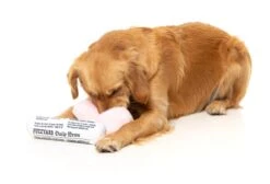 FuzzYard Fetch My Slippers & Paper Dog Toy 2 Pack -Pet Supplies Shop FZT1467 DogToy FetchMySlippers Paper2pk Dog03