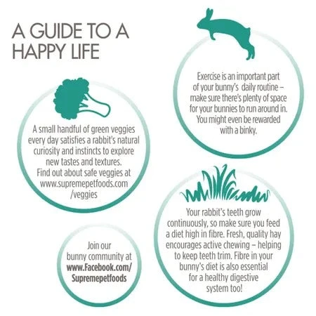 Science Selective Adult Rabbit Food 7 Science Selective Adult Rabbit Food - Image 5