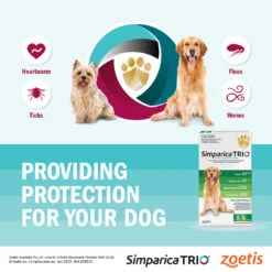 Simparica Trio Very Small Dog Chews 2.6-5kg 3 Pack 11 Simparica Trio Very Small Dog Chews 2.6-5kg 3 Pack -Pet Supplies Shop ZOE016SimparicaTrioCarousel 2 66b13898 5f72 4950 8d2e 470a86c51cb1