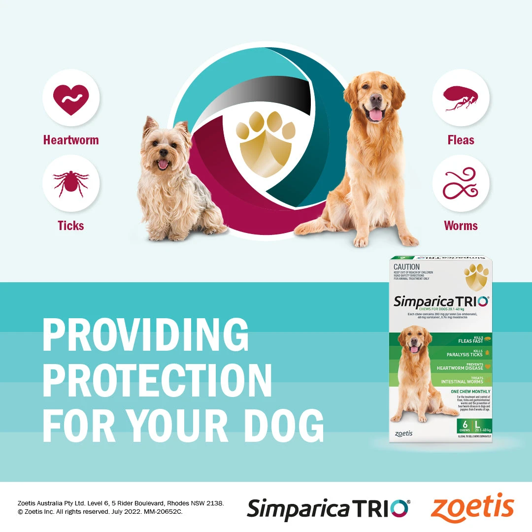 Simparica Trio Very Small Dog Chews 2.6-5kg 3 Pack 7 Simparica Trio Very Small Dog Chews 2.6-5kg 3 Pack - Image 5