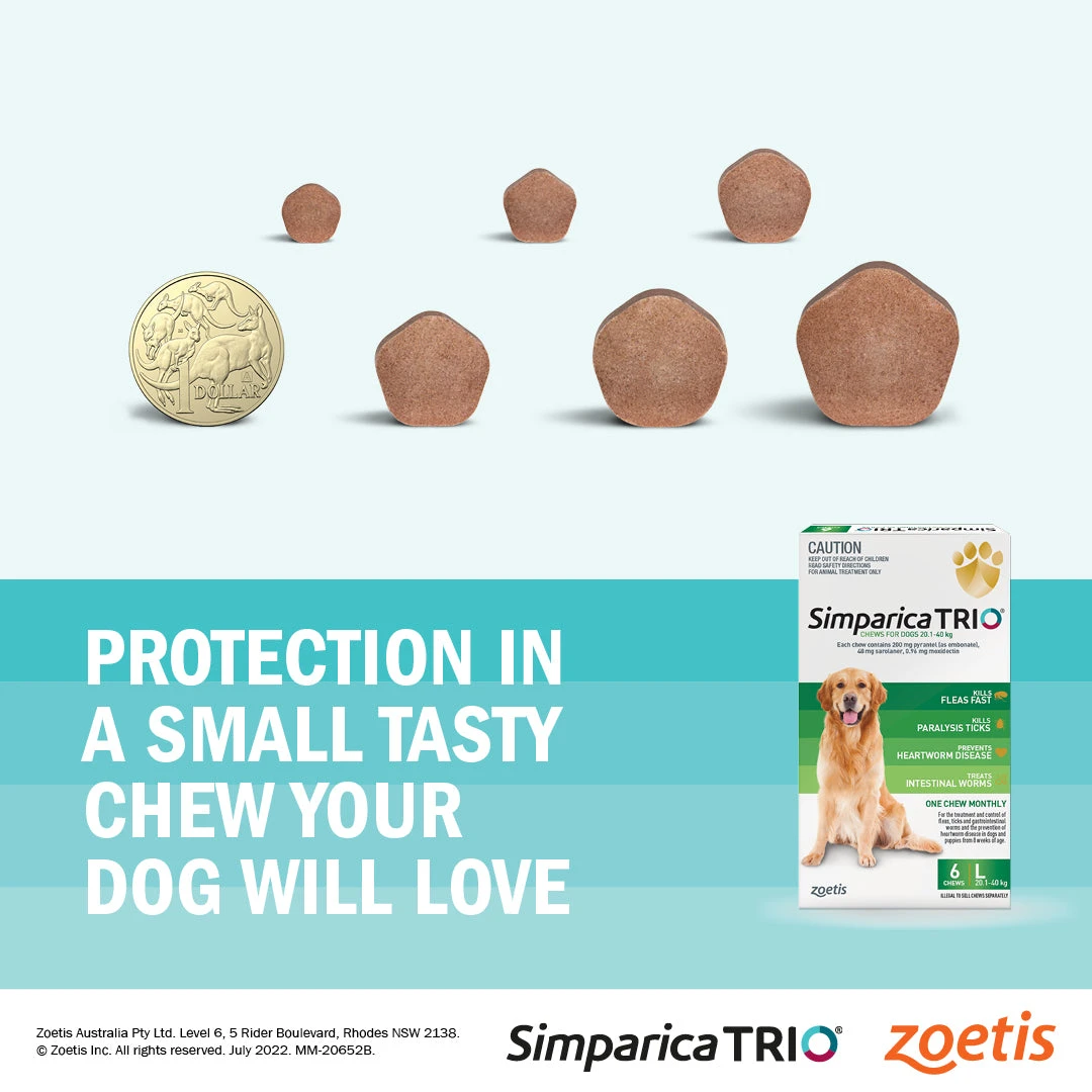 Simparica Trio Very Small Dog Chews 2.6-5kg 3 Pack 6 Simparica Trio Very Small Dog Chews 2.6-5kg 3 Pack - Image 4