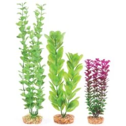 Kazoo Plastic Plant Multipack 1 Aquarium Ornament