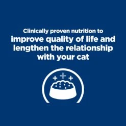 Hill's Prescription Diet K/d Kidney Care Dry Cat Food 32 Hill's Prescription Diet K/d Kidney Care Dry Cat Food -Pet Supplies Shop d kidney care dry cat food 1c883726 465d 4d9d ad3a f1ba54671541