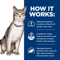 Hill's Prescription Diet K/d Kidney Care Dry Cat Food 33 Hill's Prescription Diet K/d Kidney Care Dry Cat Food -Pet Supplies Shop d kidney care dry cat food a6dbcef1 2a2c 4a3a b798 95d731e43603