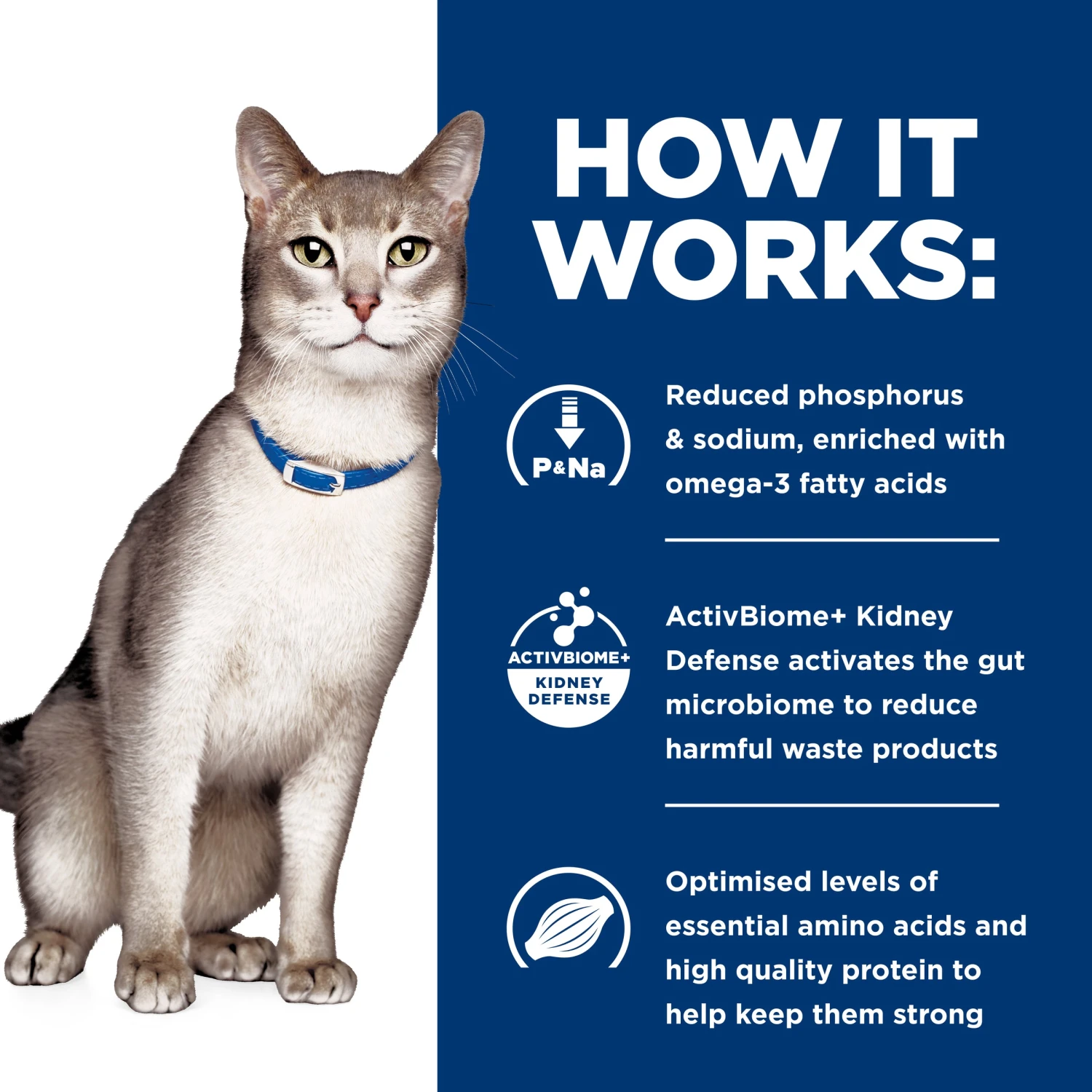 Hill's Prescription Diet K/d Kidney Care Dry Cat Food 14 Hill's Prescription Diet K/d Kidney Care Dry Cat Food - Image 12