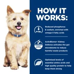 Hill's Prescription Diet K/d Kidney Care Dry Dog Food -Pet Supplies Shop d kidney care dry dog food 70700e4d c8be 4610 aca6 15672f4d030e