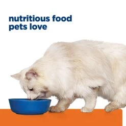 Hill's Prescription Diet C/d Multicare Stress Urinary Care Dry Cat Food 28 Hill's Prescription Diet C/d Multicare Stress Urinary Care Dry Cat Food -Pet Supplies Shop d multicare stress urinary care dry cat food 9fe31cab ff04 478e acca bc7d4257eea8
