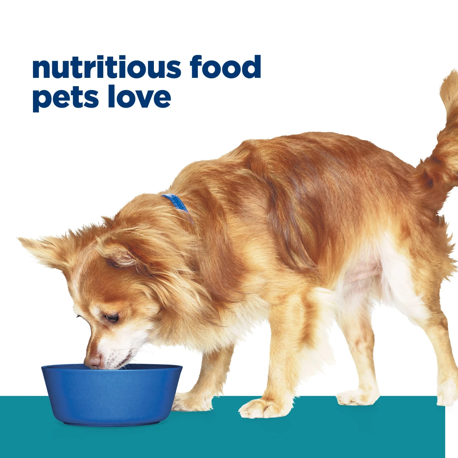 Hill's Prescription Diet T/d Small Bites Dental Care Dry Dog Food 2.25kg 5 Hill's Prescription Diet T/d Small Bites Dental Care Dry Dog Food 2.25kg - Image 3