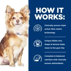 Hill's Prescription Diet T/d Small Bites Dental Care Dry Dog Food 2.25kg 19 Hill's Prescription Diet T/d Small Bites Dental Care Dry Dog Food 2.25kg -Pet Supplies Shop d small bites dental care dry dog food 2.25kg 69403c07 f61c 4611 abea 91c72d441ff8