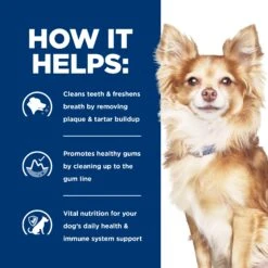 Hill's Prescription Diet T/d Small Bites Dental Care Dry Dog Food 2.25kg 20 Hill's Prescription Diet T/d Small Bites Dental Care Dry Dog Food 2.25kg -Pet Supplies Shop d small bites dental care dry dog food 2.25kg 83915df6 147f 4f21 a2da 9c2d5a51d40e