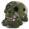 Kazoo Skull With Moss & Air Aquarium Ornament Small 1 Kazoo Skull With Moss & Air Aquarium Ornament Small -Pet Supplies Shop pb4Nf80Y