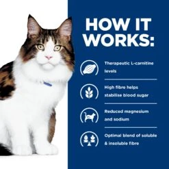 Hill's Prescription Diet W/d Digestive/Weight Management Dry Cat Food 1.5kg 30 Hill's Prescription Diet W/d Digestive/Weight Management Dry Cat Food 1.5kg -Pet Supplies Shop weight management dry cat food 1.5kg 9728b630 6c59 40dc b571 f0028e65671f
