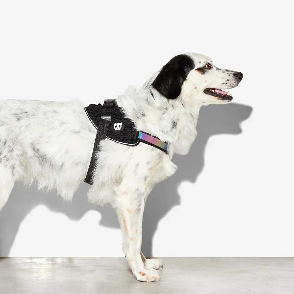 Zee Dog Gotham Dog Flyharness 5 Zee Dog Gotham Dog Flyharness - Image 3